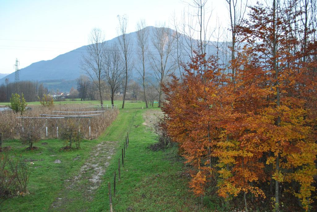 Agriturismo Il Girasole แฟลเตร ภายนอก รูปภาพ
