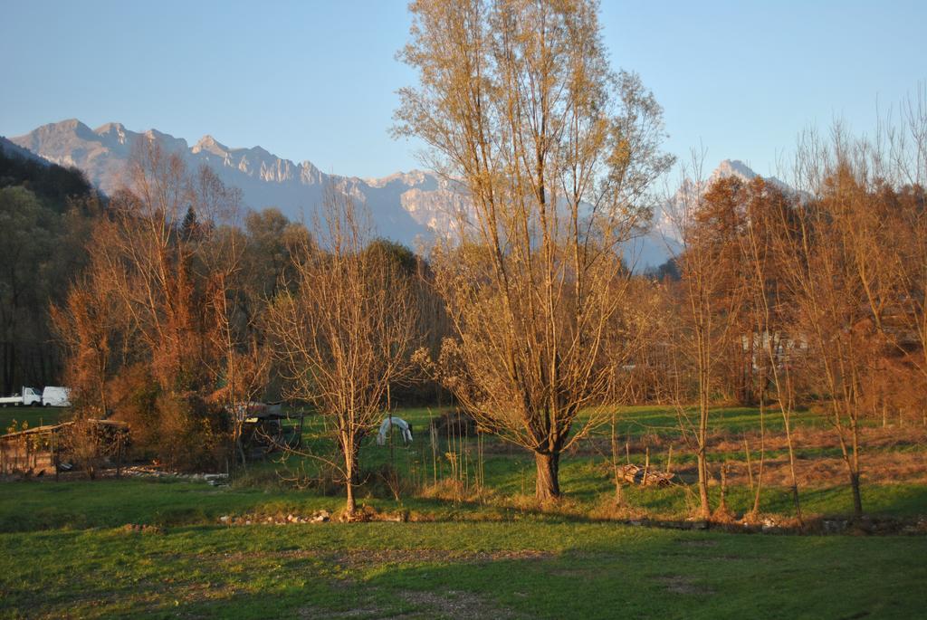 Agriturismo Il Girasole แฟลเตร ภายนอก รูปภาพ
