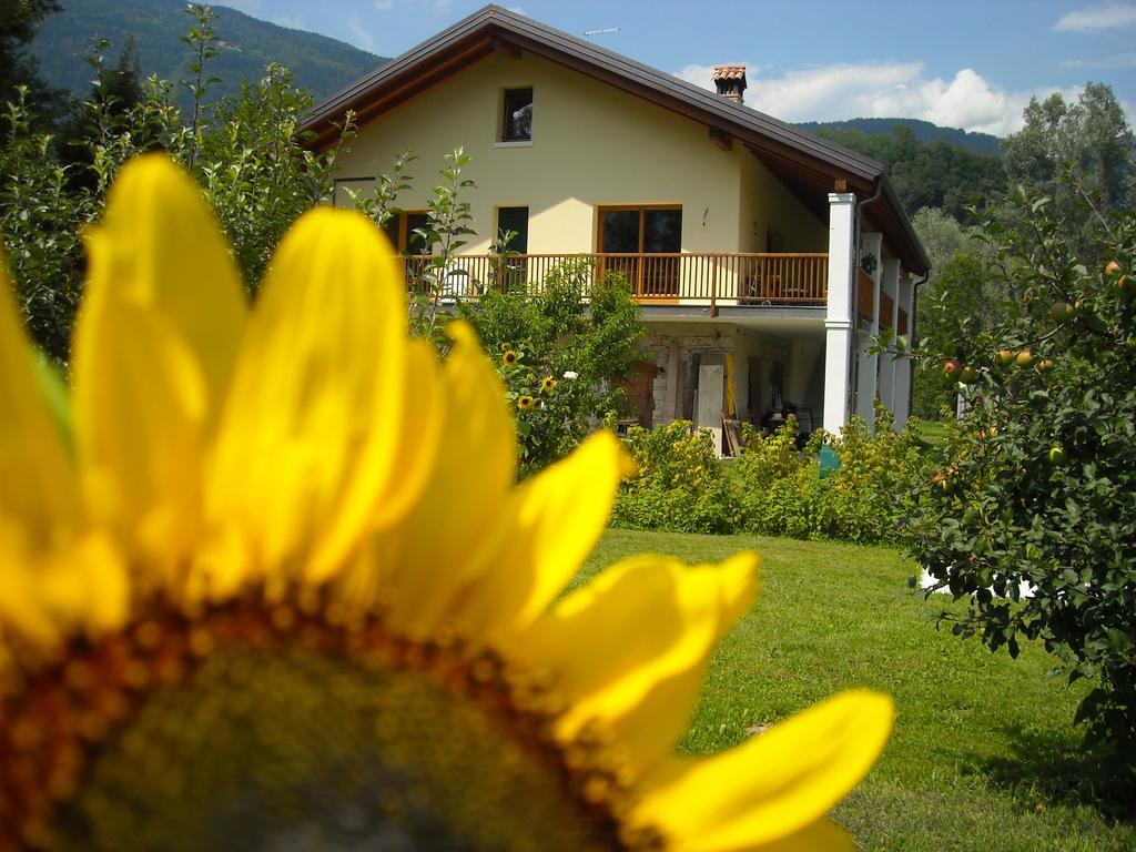 Agriturismo Il Girasole แฟลเตร ภายนอก รูปภาพ